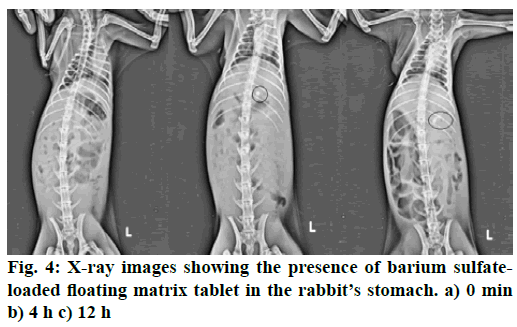 IJPS-barium