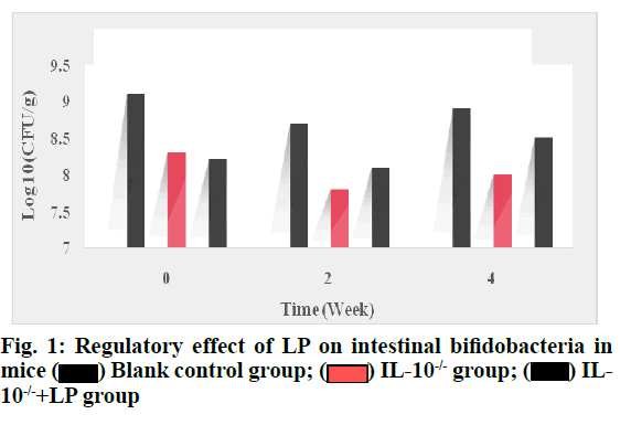 IJPS-bifidobacteria