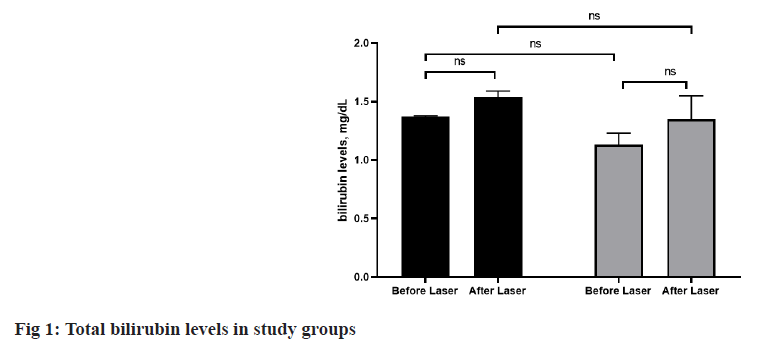 IJPS-bilirubin