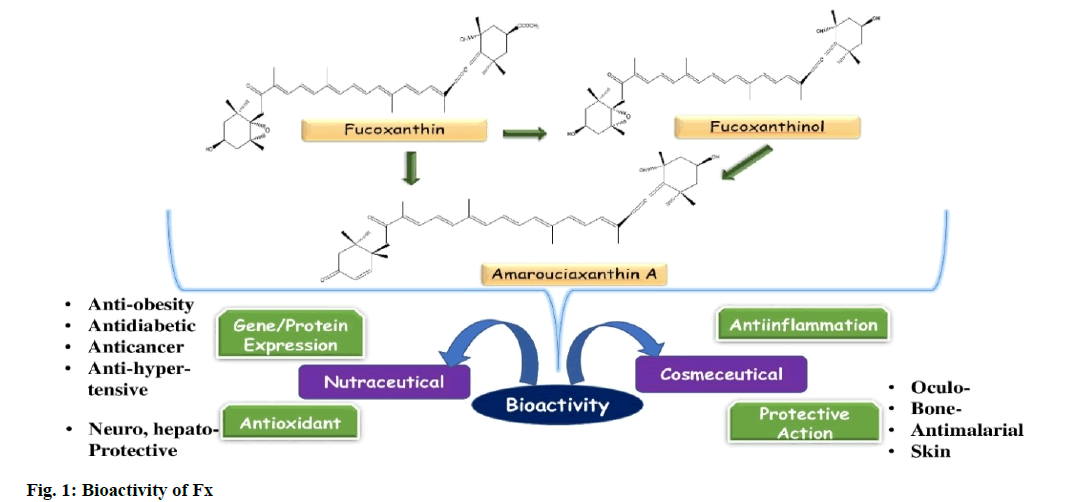 IJPS-bioactivity