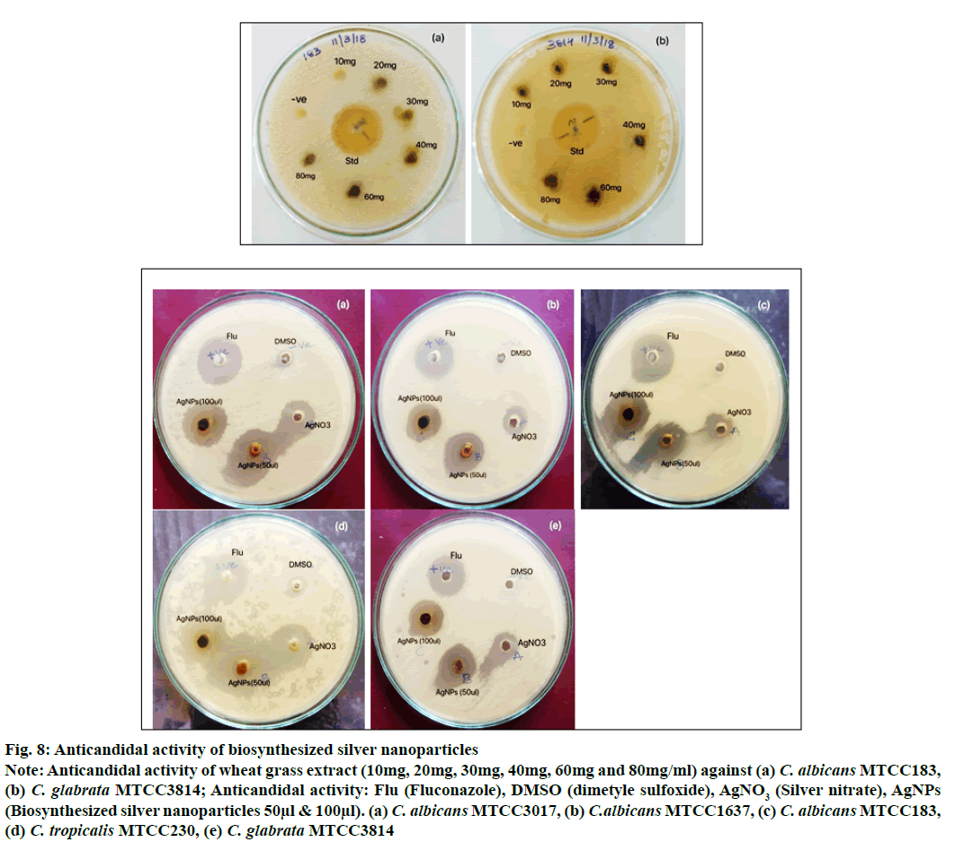 IJPS-biosynthesized