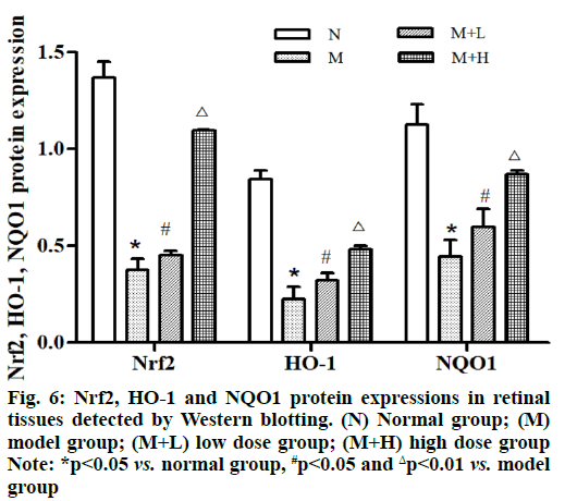 IJPS-blotting