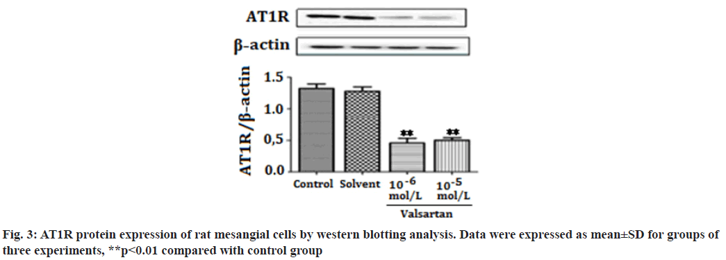 blotting