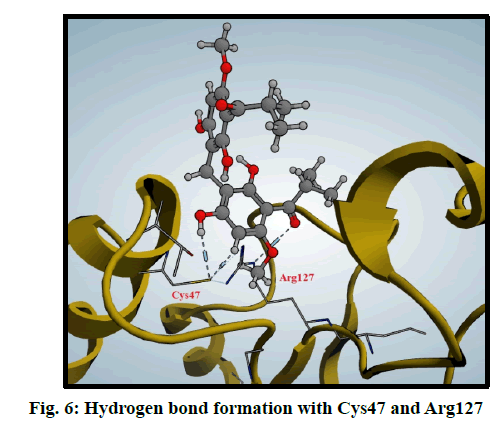 IJPS-bond