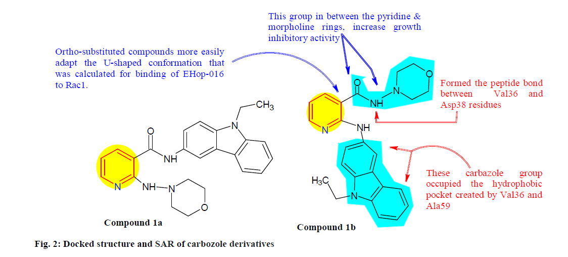 IJPS-carbozole