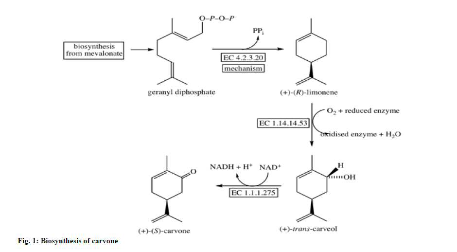 IJPS-carvone