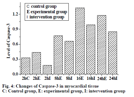 IJPS-caspase