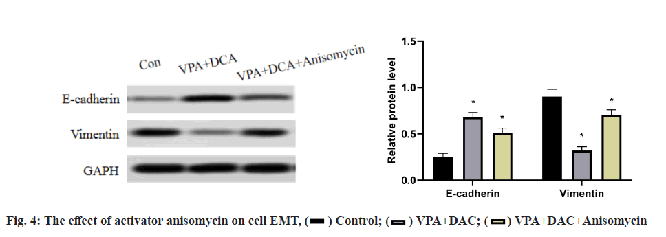 IJPS-cell