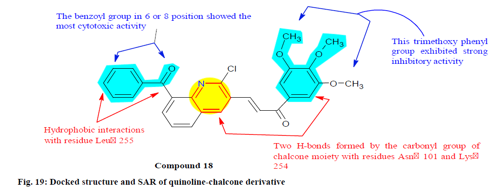 IJPS-chalcone