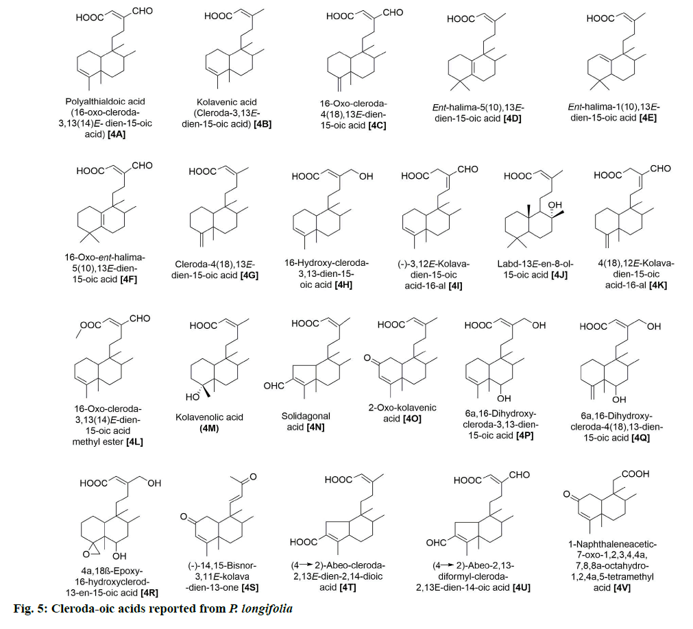 IJPS-cleroda