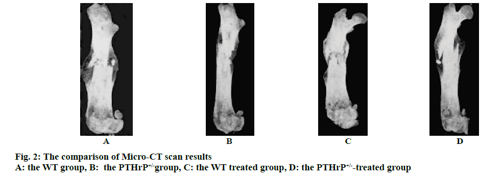 IJPS-comparison