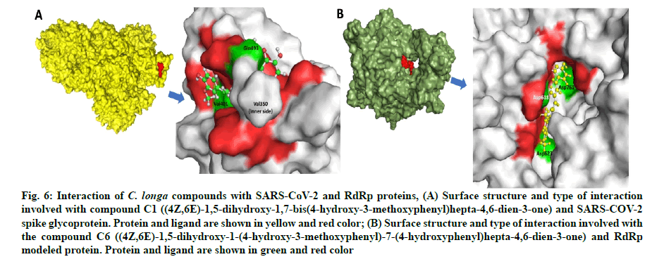 IJPS-compound