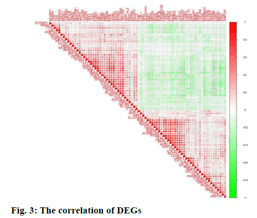 IJPS-correlation