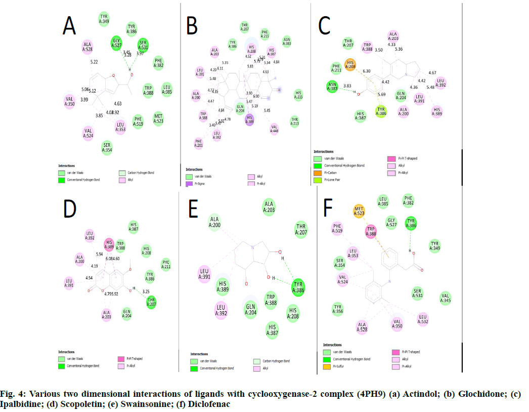 IJPS-cyclooxygenase