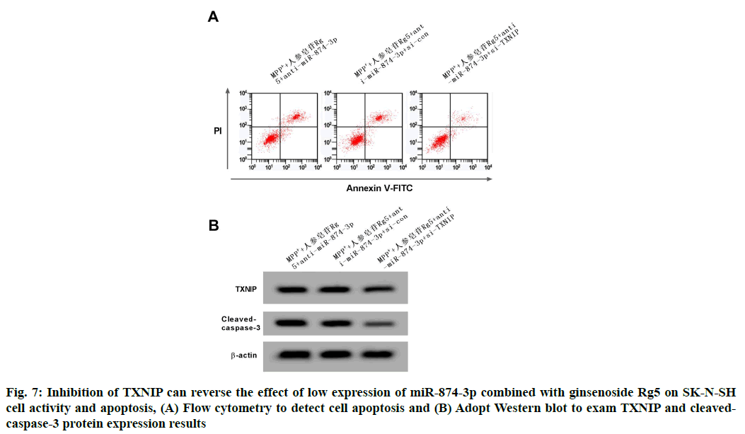 cytometry