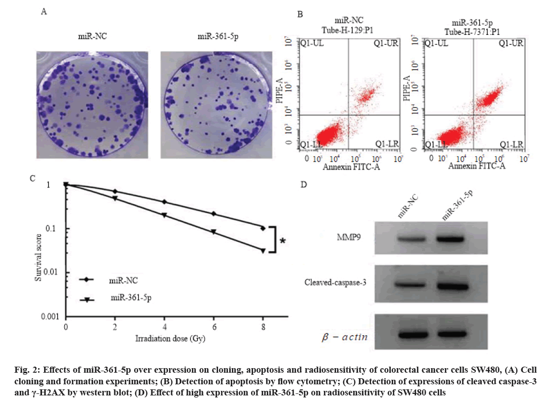 IJPS-cytometry