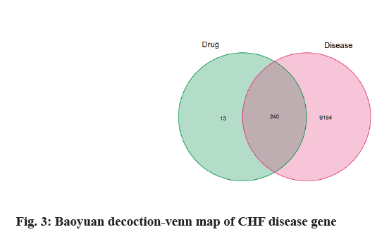 decoction