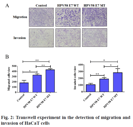 IJPS-detection