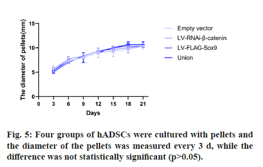 IJPS-diameter