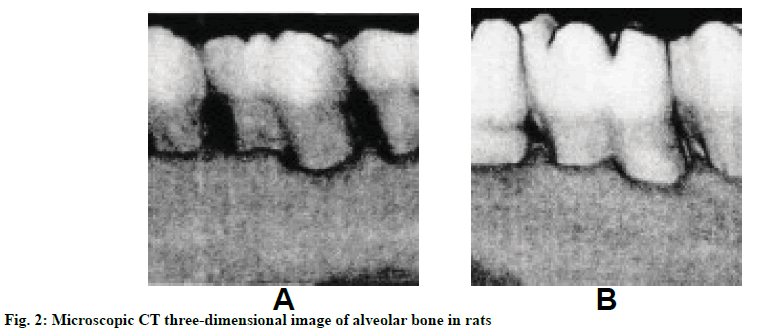 IJPS-dimensional-image