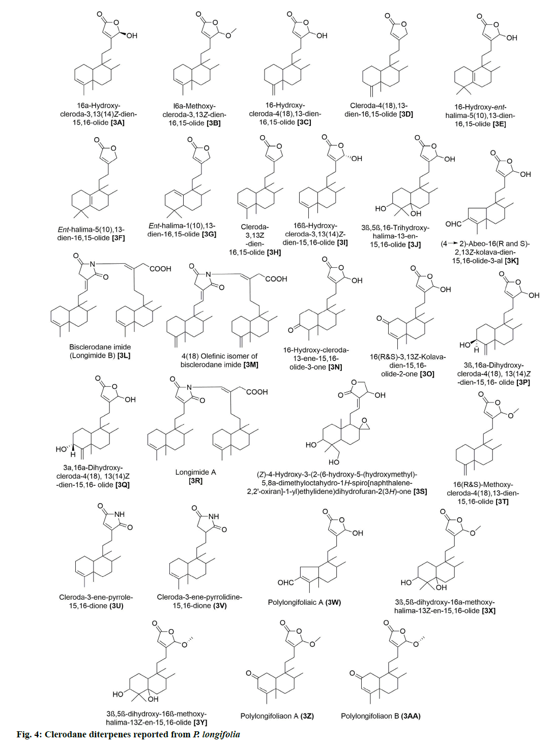 IJPS-diterpenes