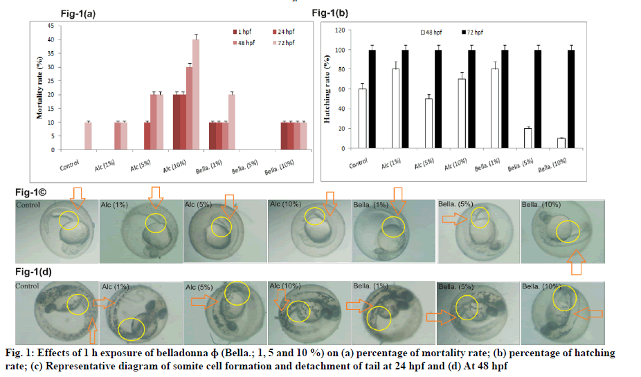 IJPS-effects