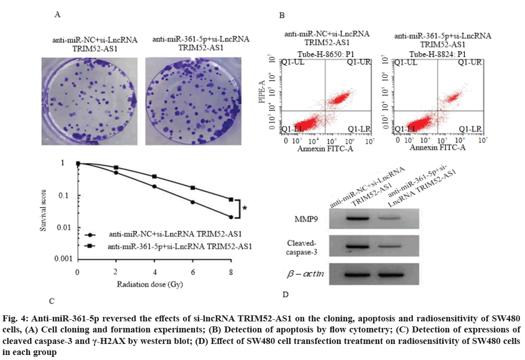 IJPS-effects