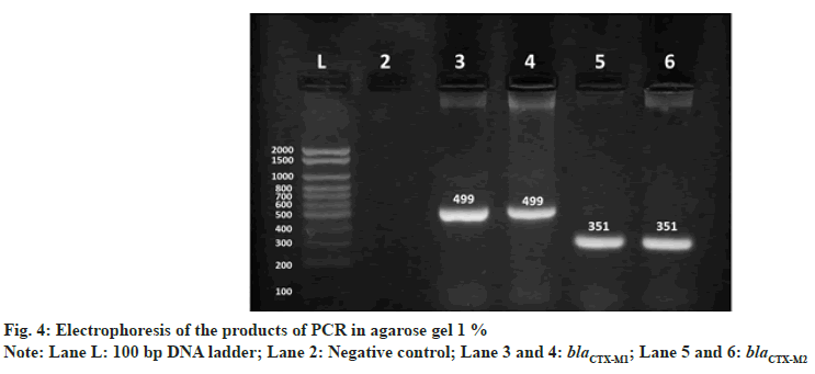 IJPS-electrophoresis