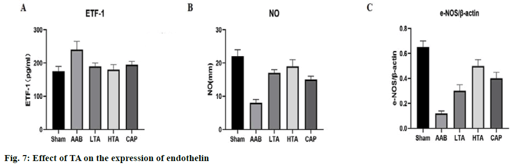 endothelin