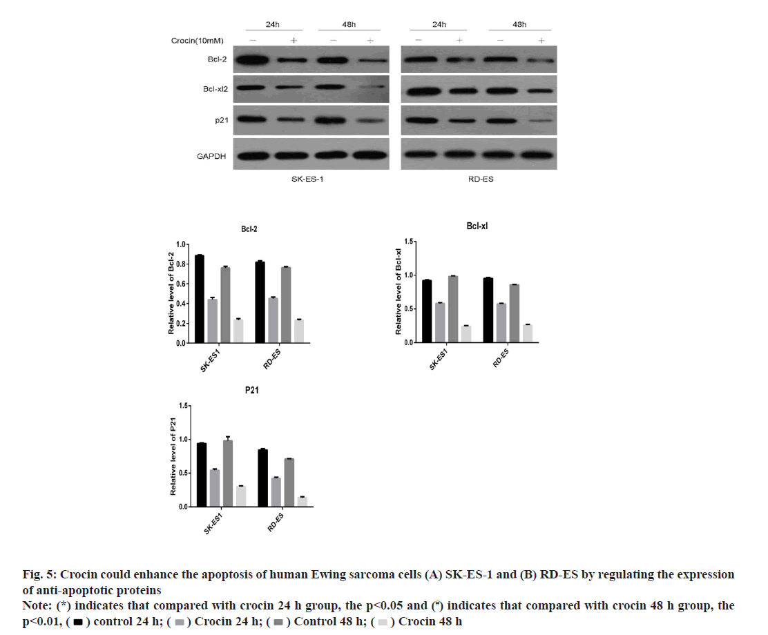 IJPS-enhance