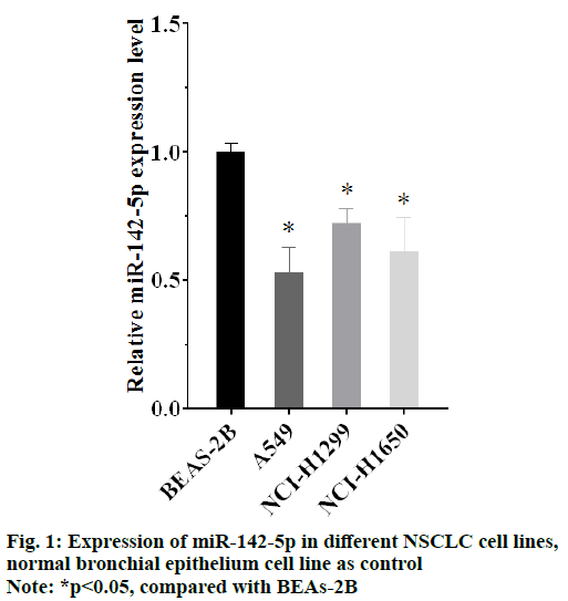 IJPS-epithelium