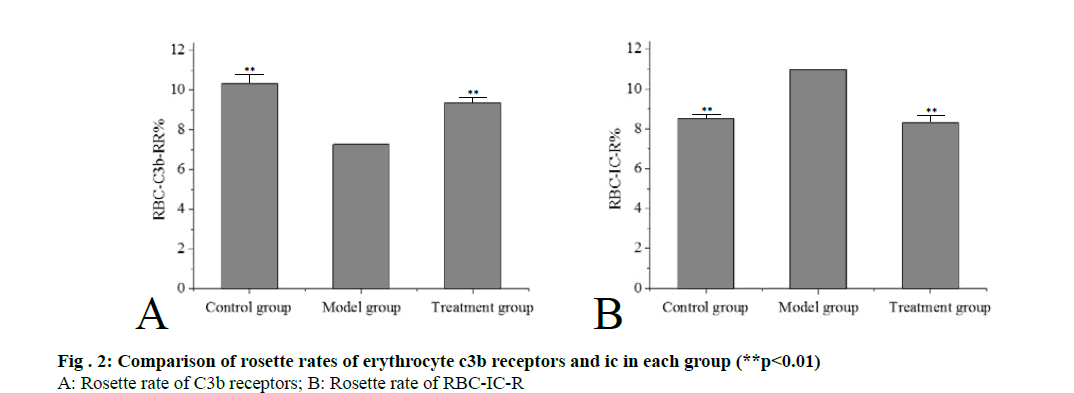 IJPS-erythrocyte