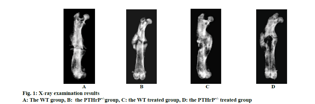 IJPS-examination