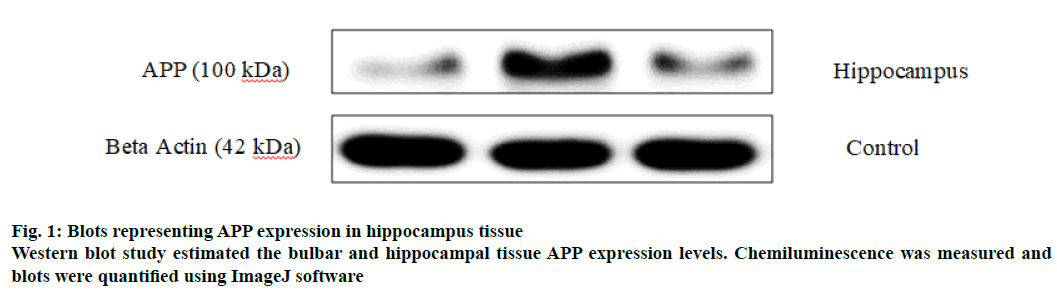 IJPS-expression