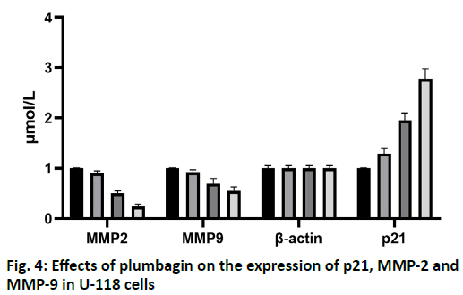 IJPS-expression