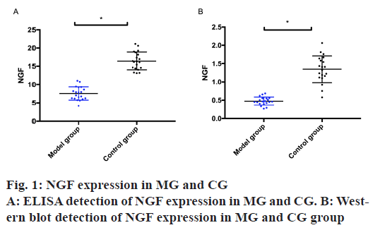 IJPS-expression