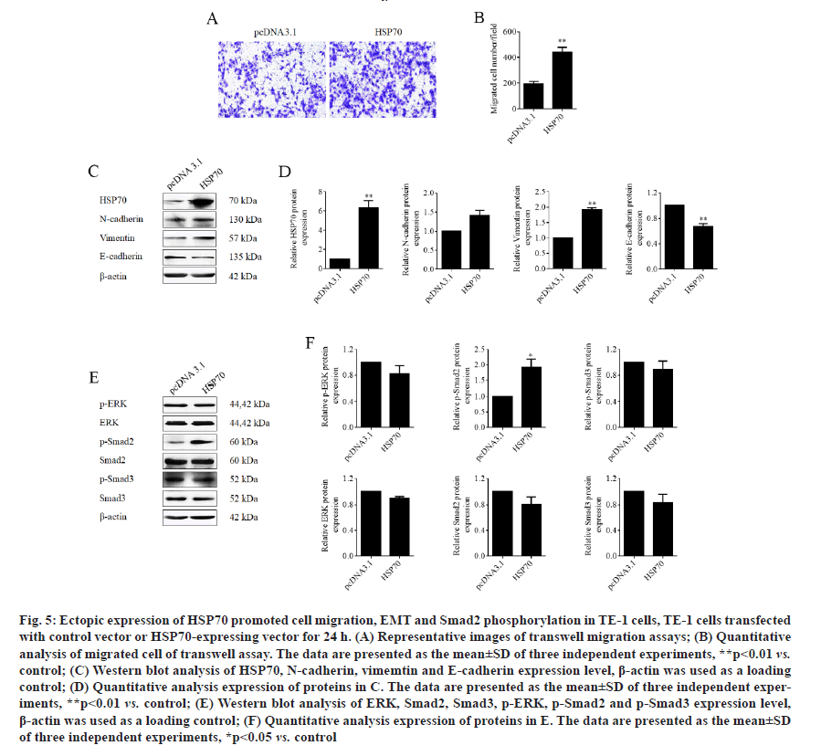 IJPS-expression