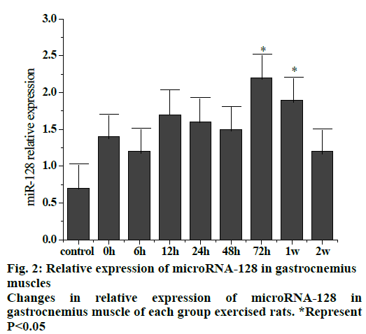 IJPS-expression