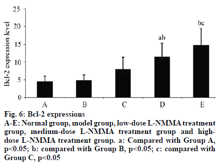 IJPS-expressions