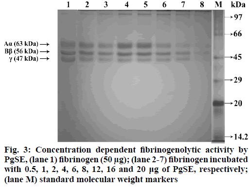 IJPS-fibrinogen