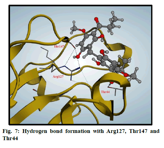 IJPS-formation