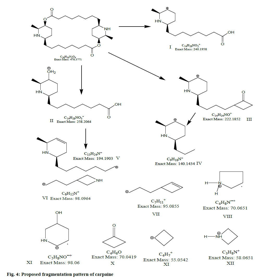 IJPS-fragmentation