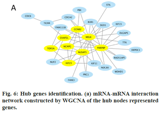 IJPS-genes