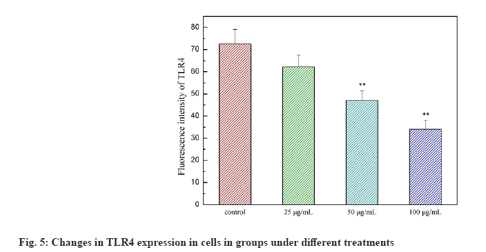 IJPS-groups