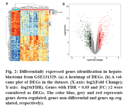 IJPS-heatmap