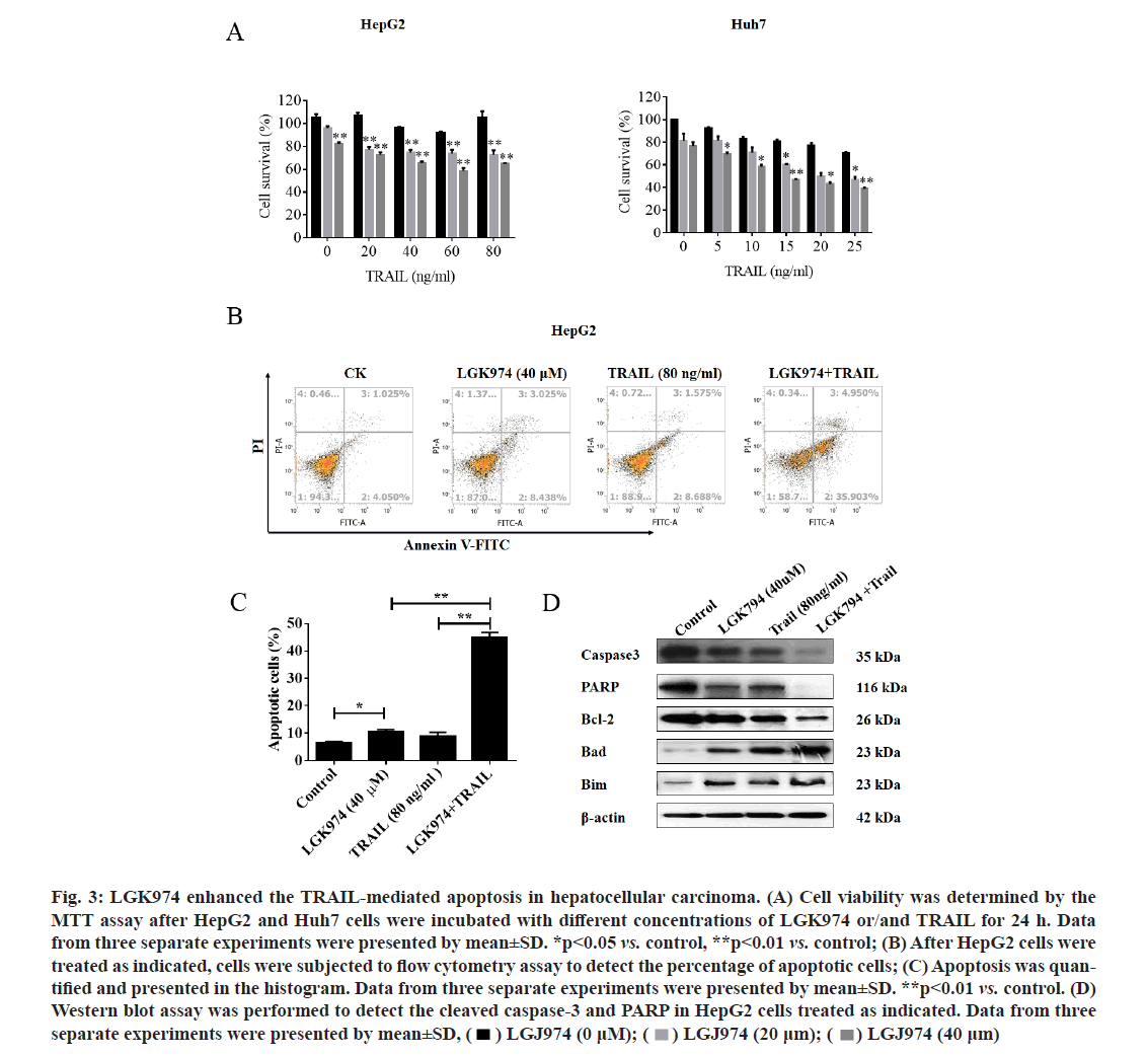 IJPS-hepatocellular