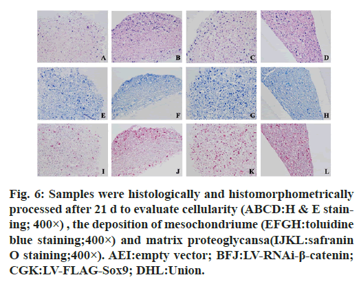 IJPS-histologically