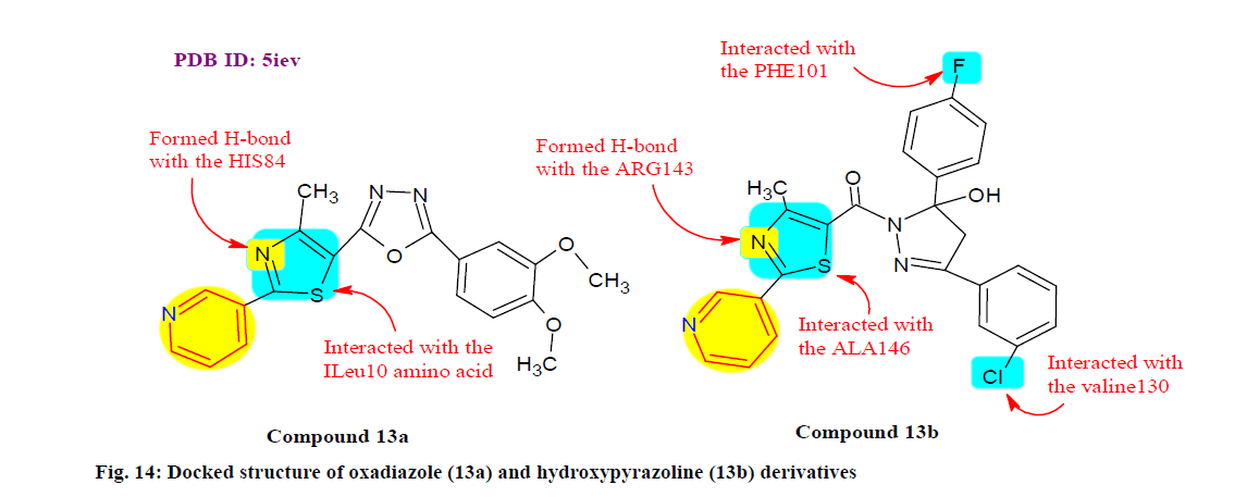 IJPS-hydro