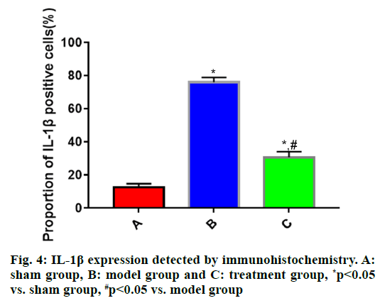 immunohistochemistry