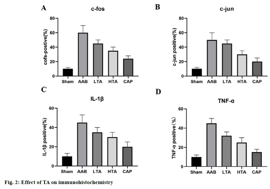 immunohistochemistry